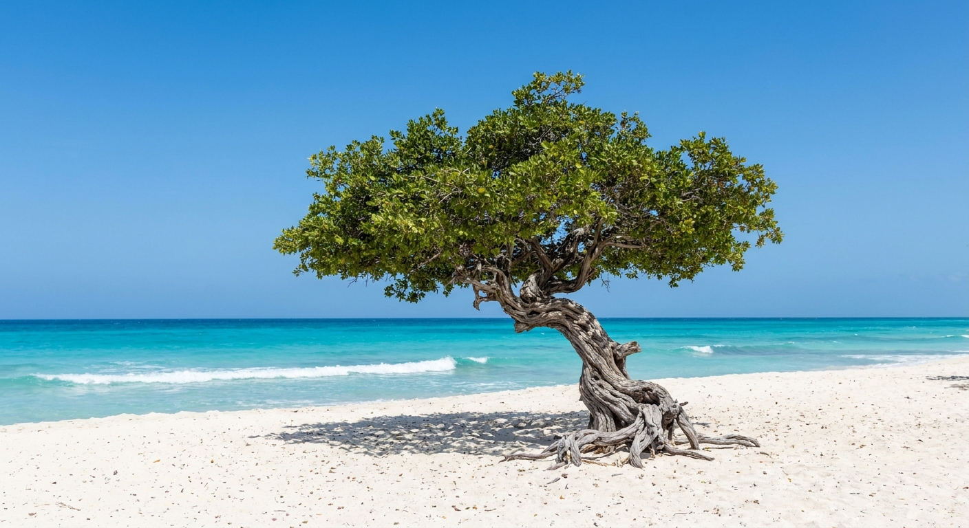 Travel guide cover for Aruba